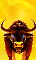 Big Wild Buffalo 2