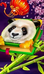 Book of Bamboo
